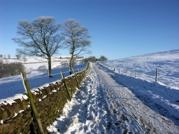 Winter Walk at Tegg's Nose